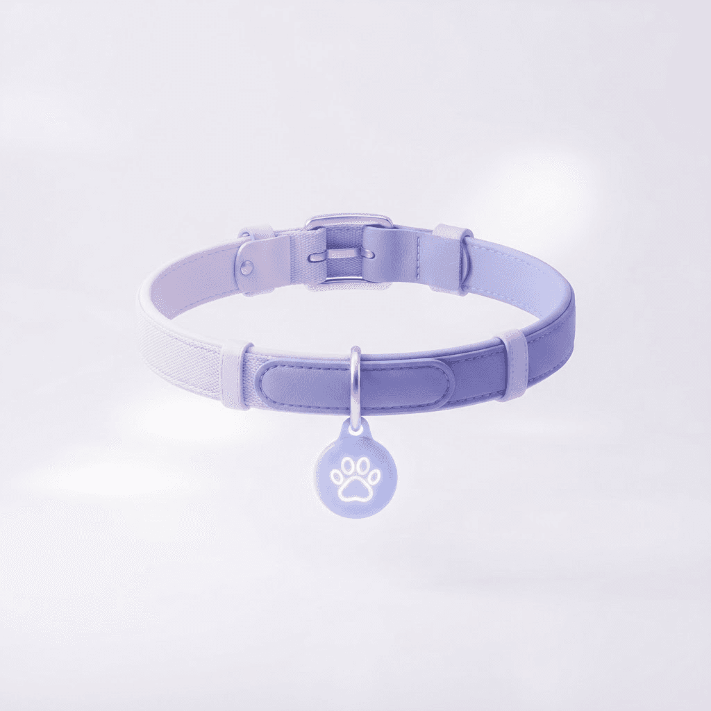 Collar inteligente Collarship como núcleo del ecosistema